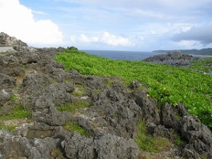 ����ء����Σ�
