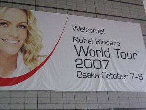 World Tour 2007 