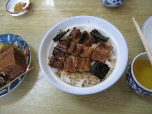 �������ڤäƤ���ޤ���������