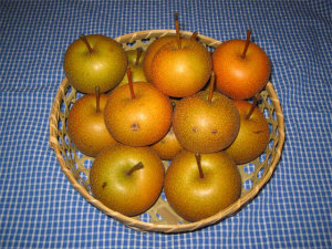 ݻʤǺΤ줿Ǥ