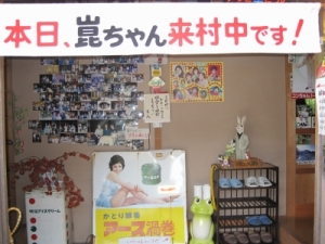 ¼桪