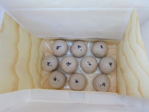 �Ž��θؤꡢε��ԡ�