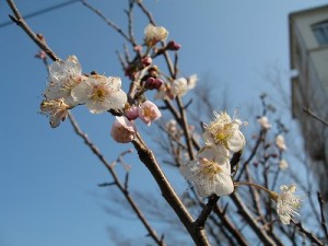 ϩιޤڤ餺䡣