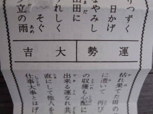 ǯ⤤ǯˤʤꤽǤ
